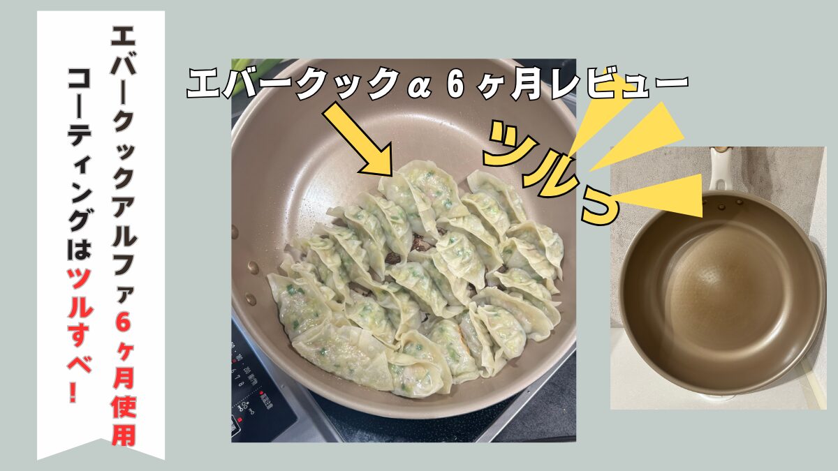 evercookαエバークックαの６ヶ月目のレビュー